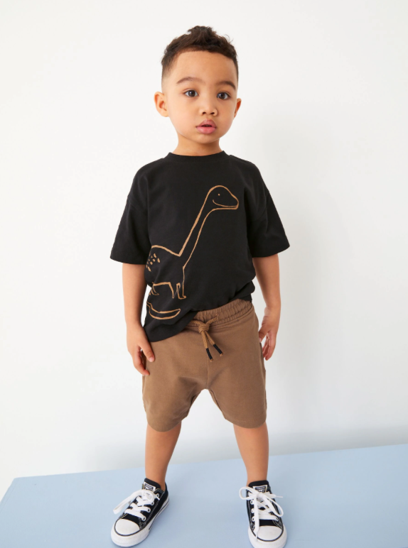 Black/Tan Dinosaur Short Sleeve T-Shirt & Shorts Set 2 Pack